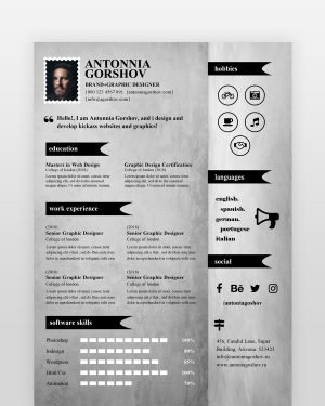 Artistic Designer Resume Template by resumedesigns.in