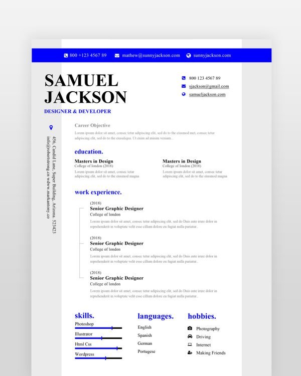 Blue Designer Resume Template by resumedesigns.in