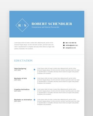 Clean Designer Resume Template (2 pages) - resumedesigns.in