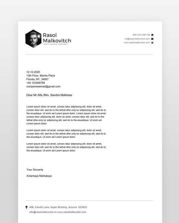 Clean-Web-Designer-Resume_cl - resumedesigns.in