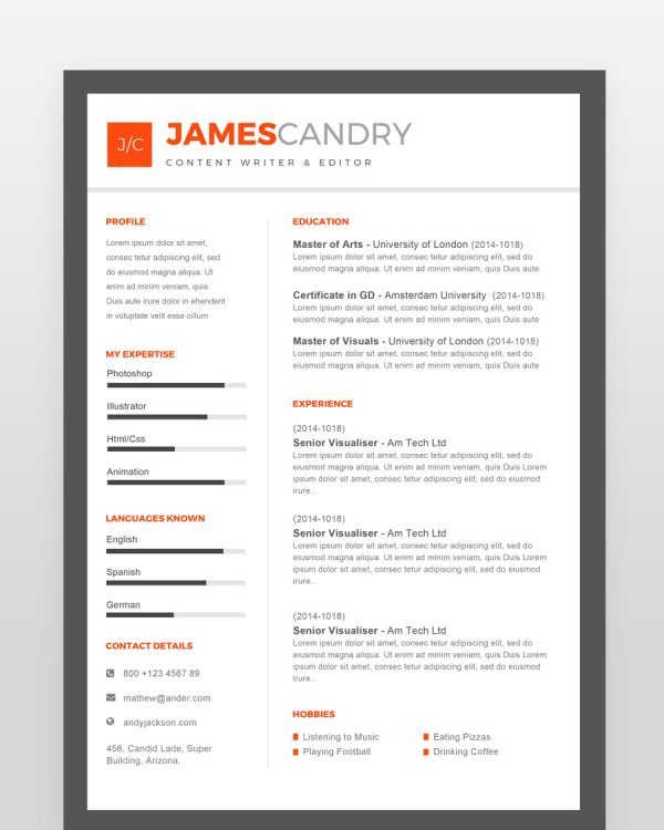 Content Writer Resume Template - resumedesigns.in