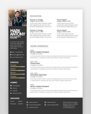 Creative Designer Resume Template - resumedesigns.in