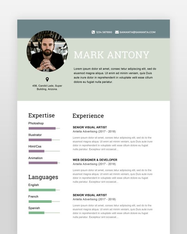 Designer-Resume-Template - resumedesigns.in