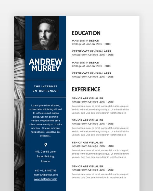 Experienced Designer Resume - resumedesigns.in