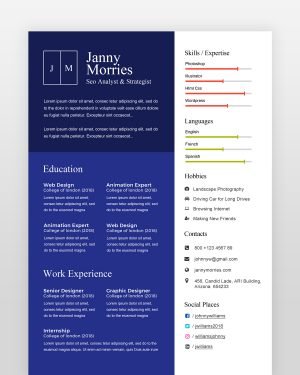 Graphic Designer Resume Template - resumedesigns.in