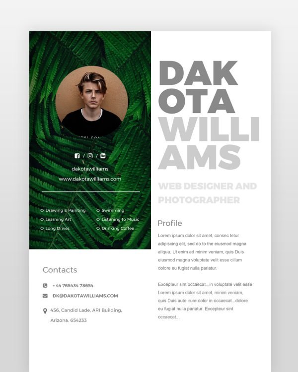 Modern Web Designer Resume - resumedesigns.in