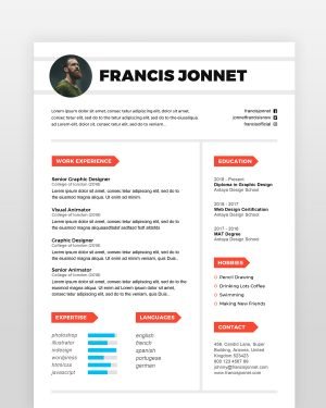 Professional Designer Resume - resumedesigns.in