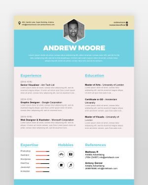 Professional Resume Template - resumedesigns.in