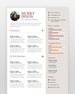 SEO Analyst Resume - resumedesigns.in