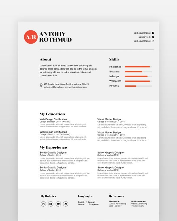 Professional Designer Resume - resumedesigns.in