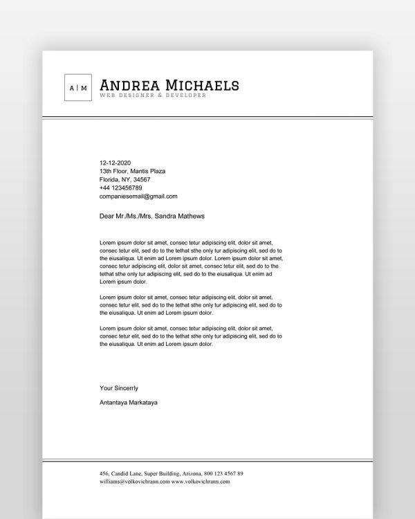 Professional-Lined-Resume-Template - resumedesigns.in