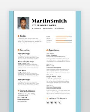 Professional Software Engineer Resume - resumedesigns.in