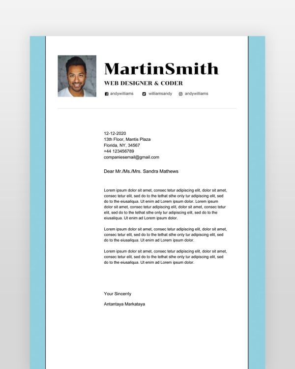 Professional-Software-Engineer-Resume - resumedesigns.in