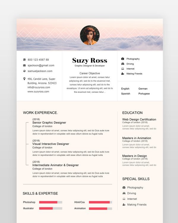 Blogger Resume Template - resumedesigns.in