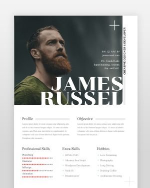 Creative Designer Resume Template (2 Pages) - resumedesigns.in