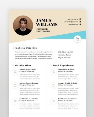 Web Designer Resume Template - resumedesigns.in